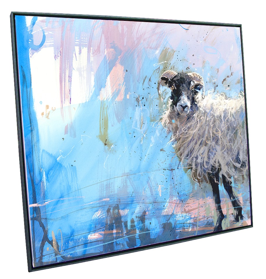 ewe on blue canvas framed in slim edge black float frame (SP630)
