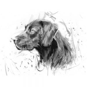 Black Labrador - Dog art print