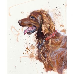 Red Setter Irish Setter - Dog art print