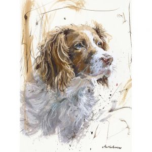 Springer Spaniel - Dog art print