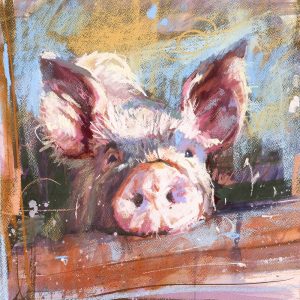 Gilling pig - pig art print