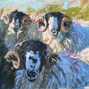 Rough fell Tups - sheep art print