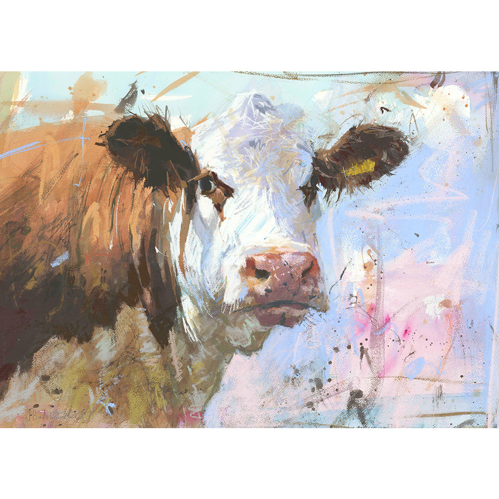 Cartmel Hereford - Cow art print Cartmel Hereford - Cow art print
