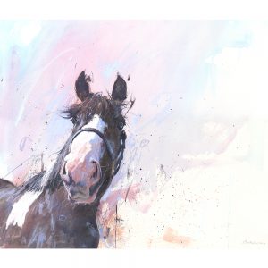Piebald horse - horse art print