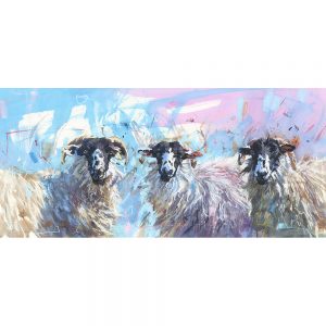 Summer ewes - sheep art print