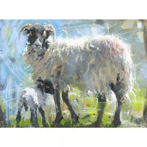 Swaledale & lamb - sheep art print