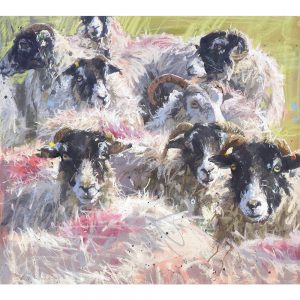 Swaledales of Borrowdale - sheep art print