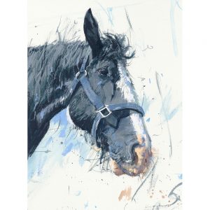 Young Shire - Shire horse art print