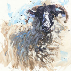 Ewe Study - sheep art print